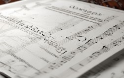 沈阳音乐学院招生考试简章有哪些要求？