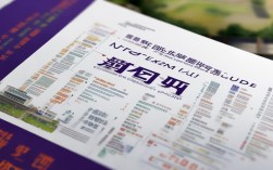 吉林大学NETS考试怎么报名？备考攻略与权威解析